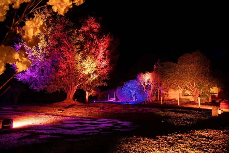 Blossom by Light at CherryHill - Photo game plan: capturing blossoms after dark without fuss