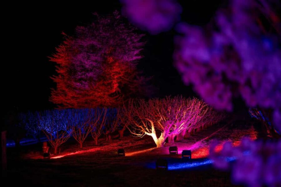 Blossom by Light at CherryHill - What to wear on a working farm: shoes, warmth, and uneven ground