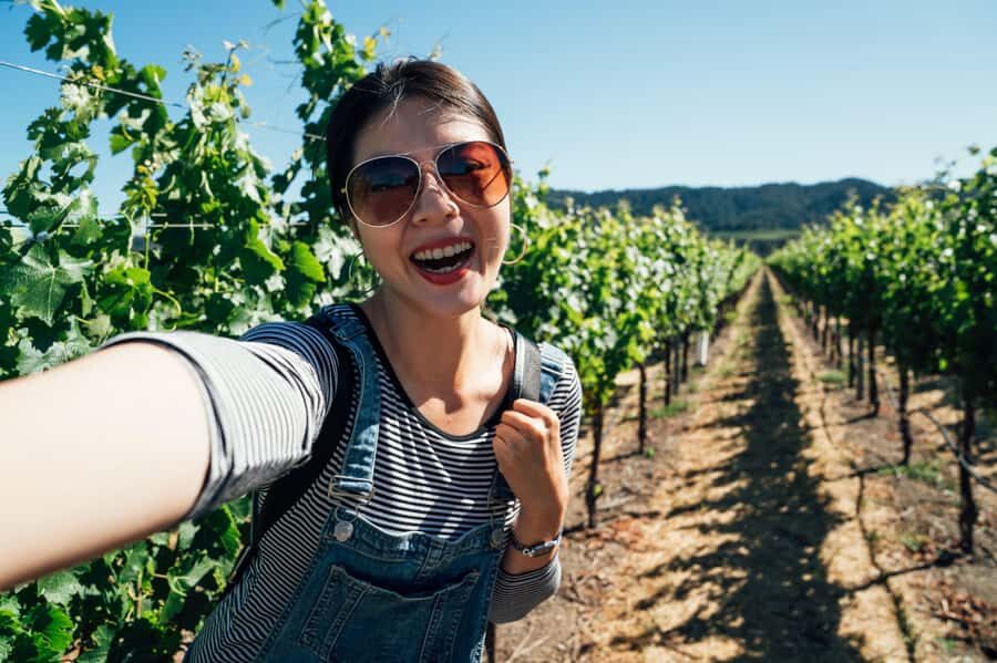 Experience Yarra Valley: A Tailored private Wine Journey - Lunch time: plan for paying, then enjoy the break