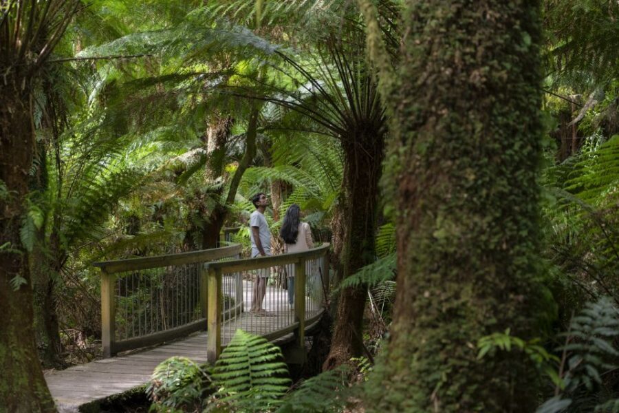 From Melbourne: 3-Day Great Ocean Road Grampians Tour - Should you book this Great Ocean Road and Grampians 3-day tour?