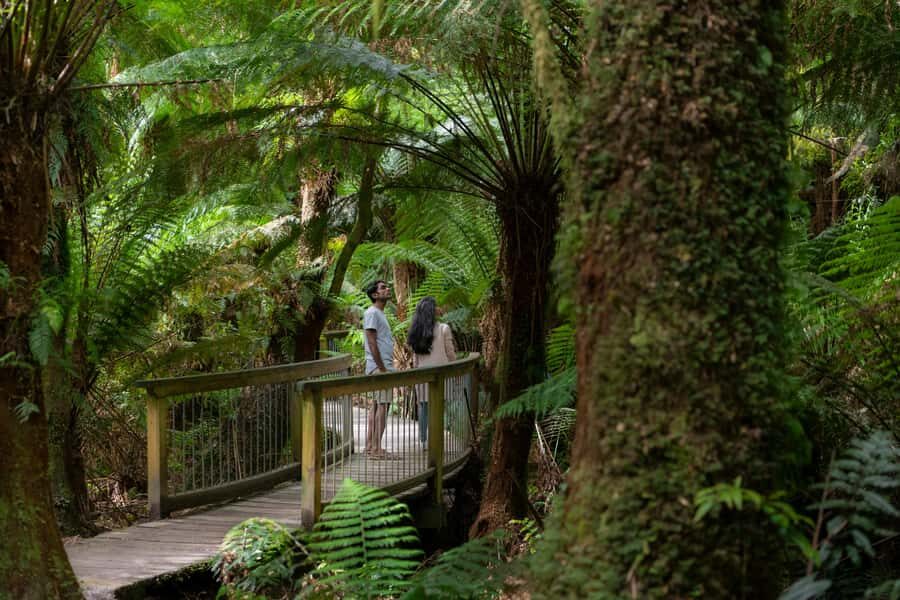 From Melbourne: 3-Day Great Ocean Road Grampians Tour - Why the guided format works (and where it can feel tight)