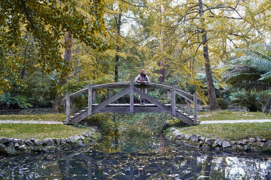From Melbourne: Dandenong Ranges Private Day Tour - Timing, Weather, and What to Pack for a Comfortable Day