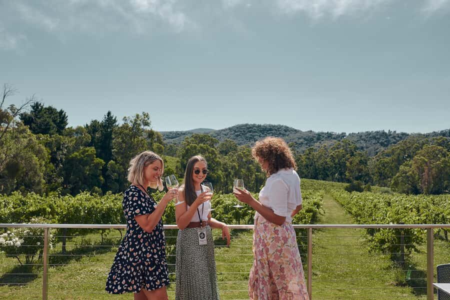 From Melbourne: Mornington Peninsula Hop-On-Hop-Off Bus - Price and what you’re really paying for ($65 for a mostly hassle-free day)