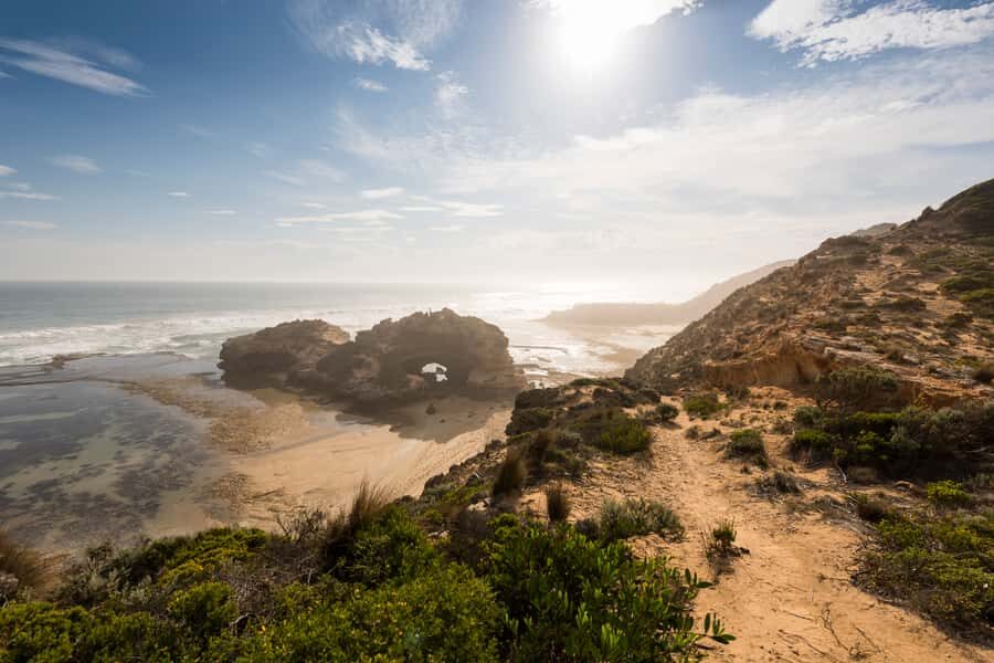 From Melbourne: Mornington Peninsula: Sightseeing Tour - A stroll along Millionaire’s Walk: when the scenery is close up