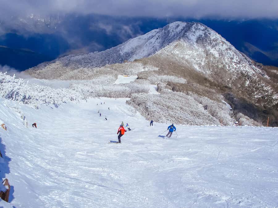 From Melbourne: Mt Buller Scenic Snow Getaway Day Tour - Getting From Melbourne To Mt Buller Without the Stress