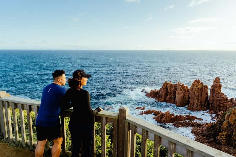 From Melbourne: Phillip Is Penguin Parade & Koala Reserve - Who This Tour Fits Best