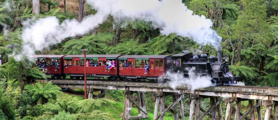 From Melbourne: Puffing Billy and Penguin Parade Combo Tour - Puffing Billy steam train: the ride that makes the day feel like a story