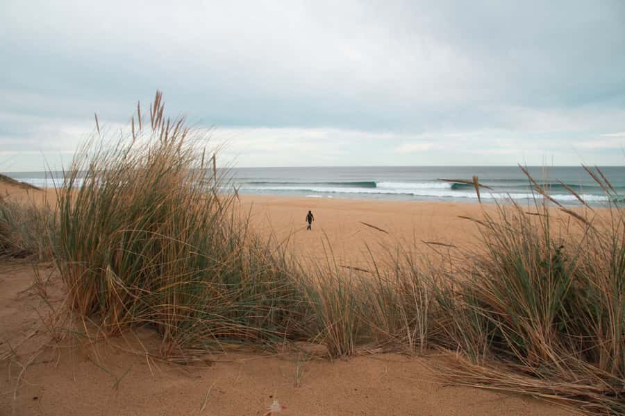 From Melbourne: Small Group Great Ocean Road Tour - Driving comfort and why your expectations matter on an 11-hour loop