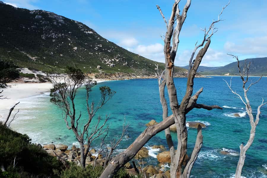 From Melbourne: Wilsons Promontory Small Group Day Tour - Squeaky Beach quartz sands: the fun stop that doesn’t require a big climb
