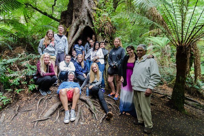 Great Ocean Road Grampians 2 Day Overnight Tour from Melbourne - Why This Great Ocean Road + Grampians Combo Makes Sense in 2 Days