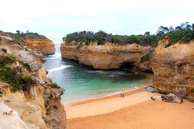 Great Ocean Road Private Tour - Anglesea to Lorne: kangaroos, tea, and a mountain viewpoint
