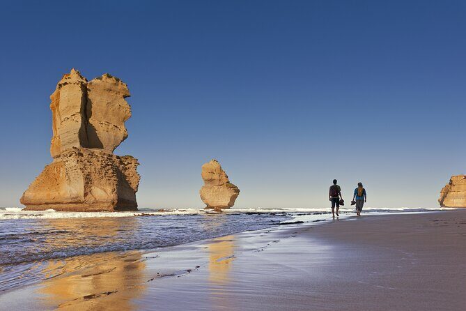 Half-Day or Full-Day Tour with Private Guide from Melbourne - Stop 4: Point Nepean National Park for Coastal Views (and a timed walk)
