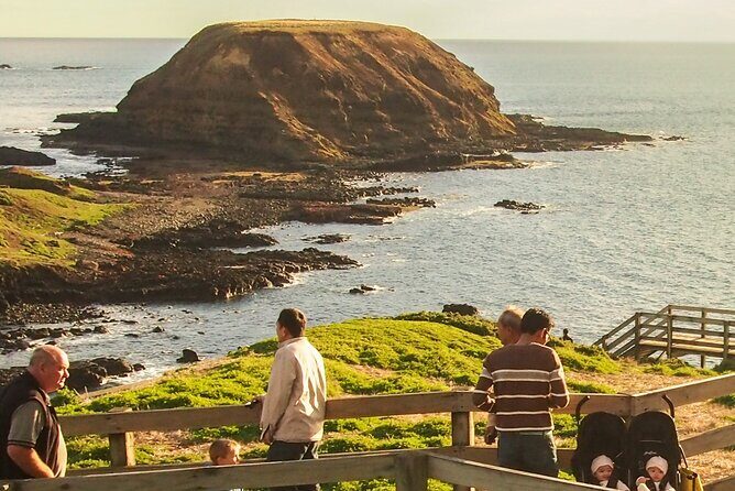 Healesville Sanctuary And Phillip Island Wildlife Bus Tour - Price and Value: What You’re Really Paying For