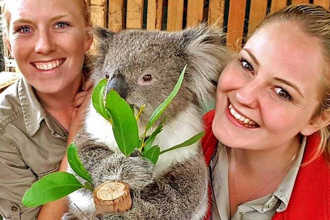 Luxury Phillip Island Tour for Families & Explorers [up to 10Pax] - Why Phillip Island feels like a “real day out” from Melbourne