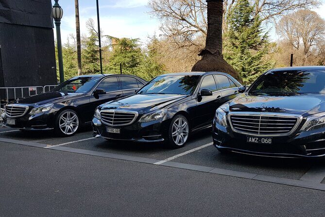 Melbourne Airport Transfer with Meet and Greet Service - Who this transfer is best for (and who should skip it)
