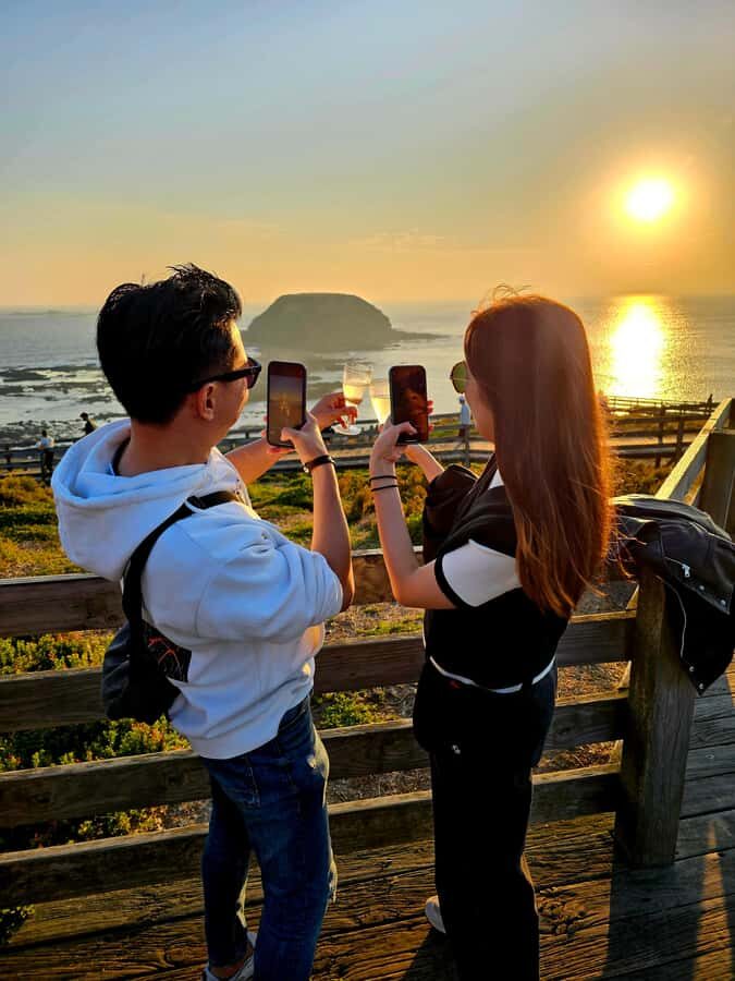 Melbourne: Boutique Phillip Island Wine, Dine & Penguin Tour - Why Phillip Island Feels Like a Small Escape From Melbourne