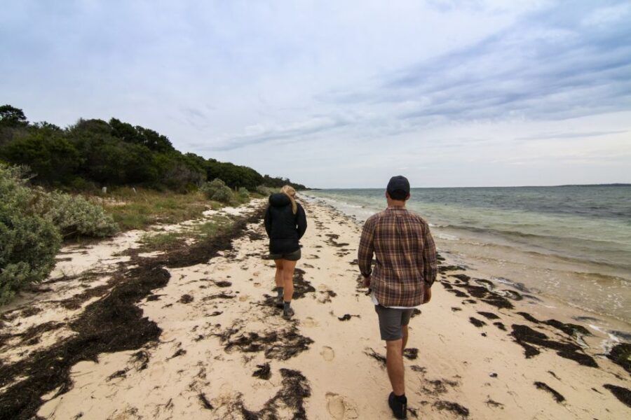Melbourne: French and Phillip Island Wildlife Expedition - Crossing to Phillip Island: Surf Beaches and the Motorbike Circuit Vibe
