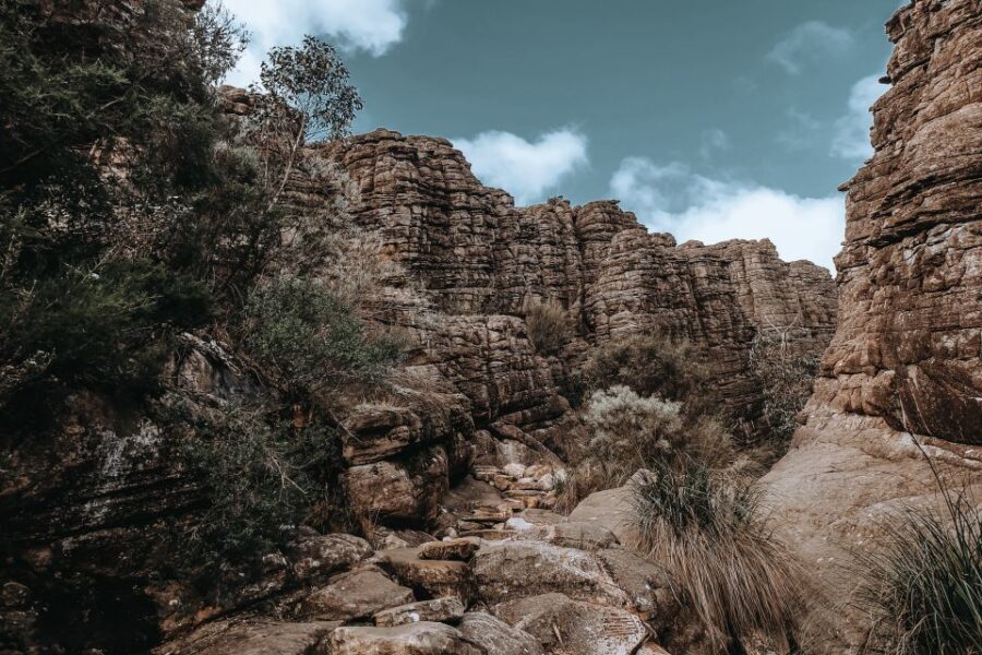 Melbourne: Grampians Day Tour - Halls Gap and the Kangaroo Hangout Spot