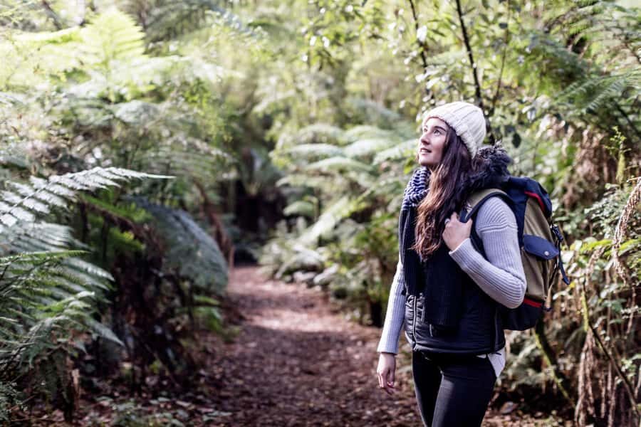 Melbourne: Great Ocean Road Ultimate 12 Apostles with Lunch - The Great Otway National Park rainforest walk (and why it’s a relief)
