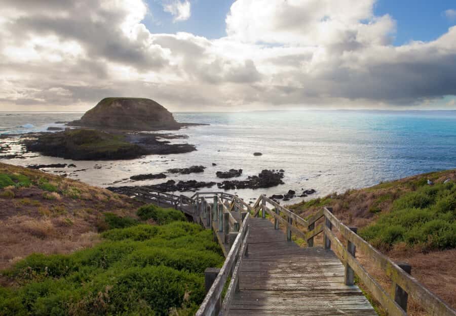 Melbourne: Healesville Sanctuary & Phillip Island Tour - Healesville and Phillip Island: A One-Day Wildlife Double Feature