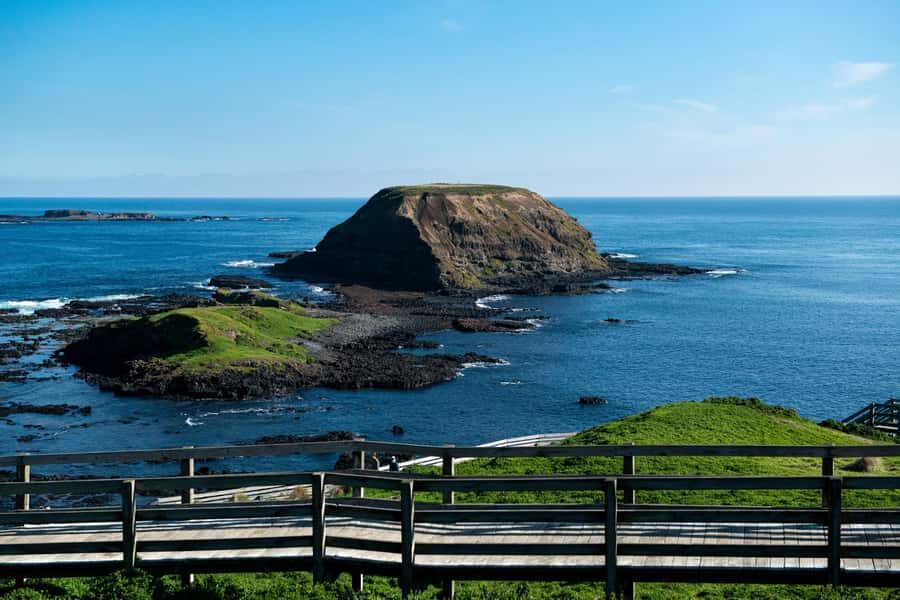 Melbourne: Penguin Parade , Koala & Brighton Bathing Boxes - Key things to know before you go