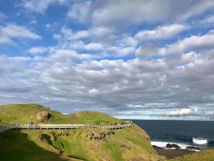 Melbourne: Penguin Parade & Phillip Island Scenic Day Tour - Price and logistics: what $84 really covers