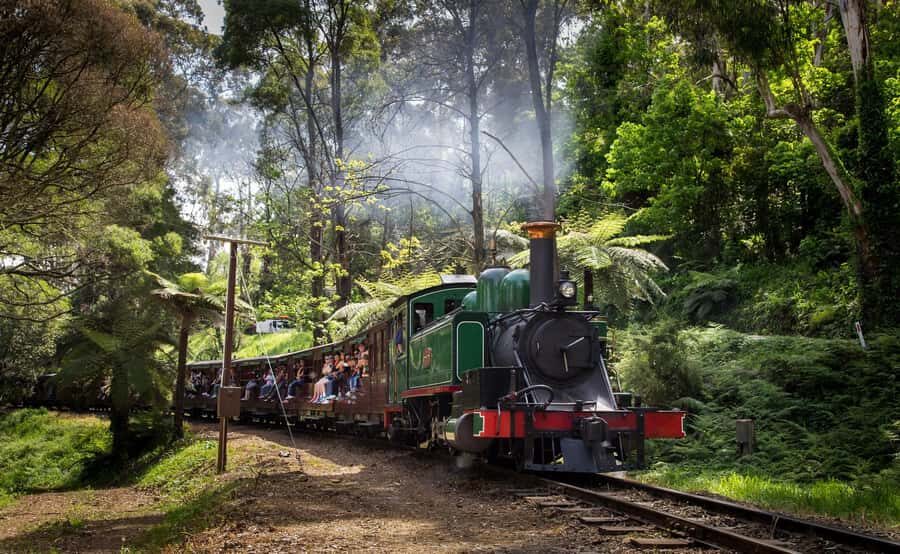 Melbourne: Penguin Parade Tour with Puffing Billy Train Ride - Key things you should know before you go