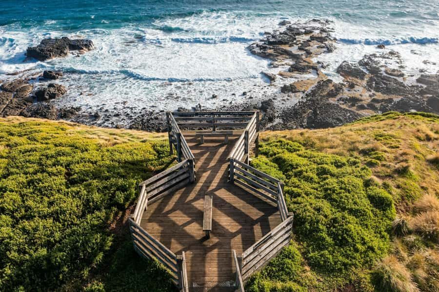 Melbourne: Phillip Island Penguin Parade Watching Day Tour - Key highlights you’ll actually care about