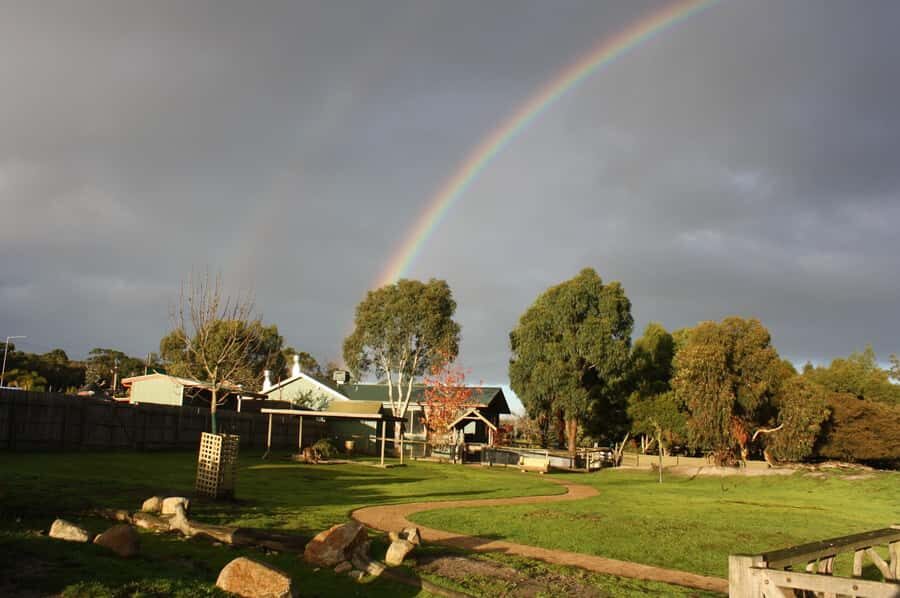 Melbourne: Phillip Island Penguin Parade Watching Day Tour - Cowes free time: dinner options without the pressure