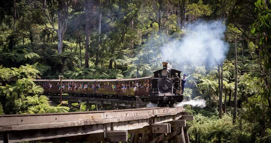 Melbourne: Puffing Billy Steam Train & Penguin Parade Tour - Pace and timing: why this can feel rushed