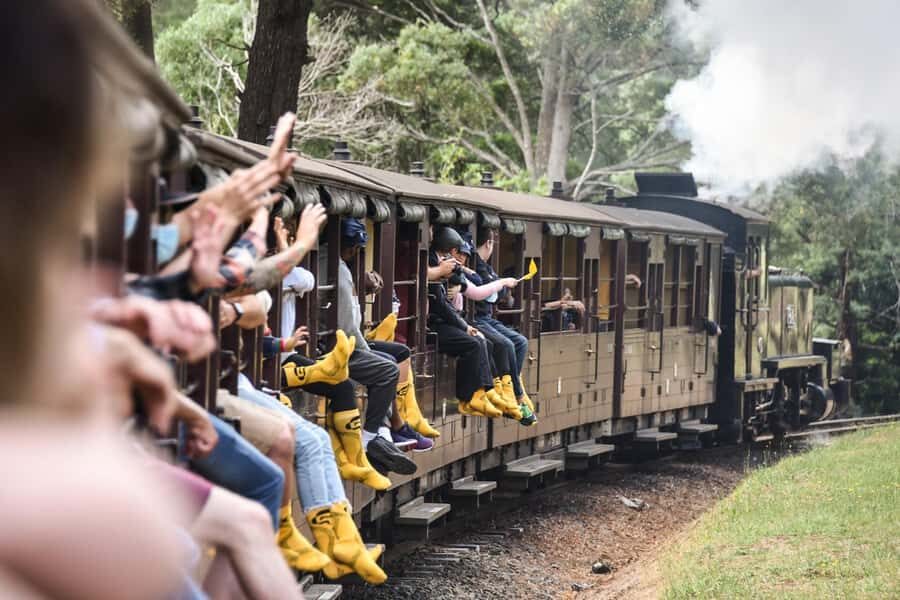 Melbourne: Puffing Billy Steam Train & Penguin Parade Tour - Price and logistics: what $113 buys you (and what it doesn’t)