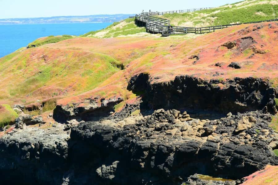 Melbourne: Puffing Billy Train & Penguin Island Excursion - The Nobbies View Point and Cowes: coastal views with a breather built in