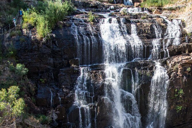 Melbourne to Adelaide: 3-Day Great Ocean Road Grampians Tour - The driver-guide makes a real difference on day-to-day comfort
