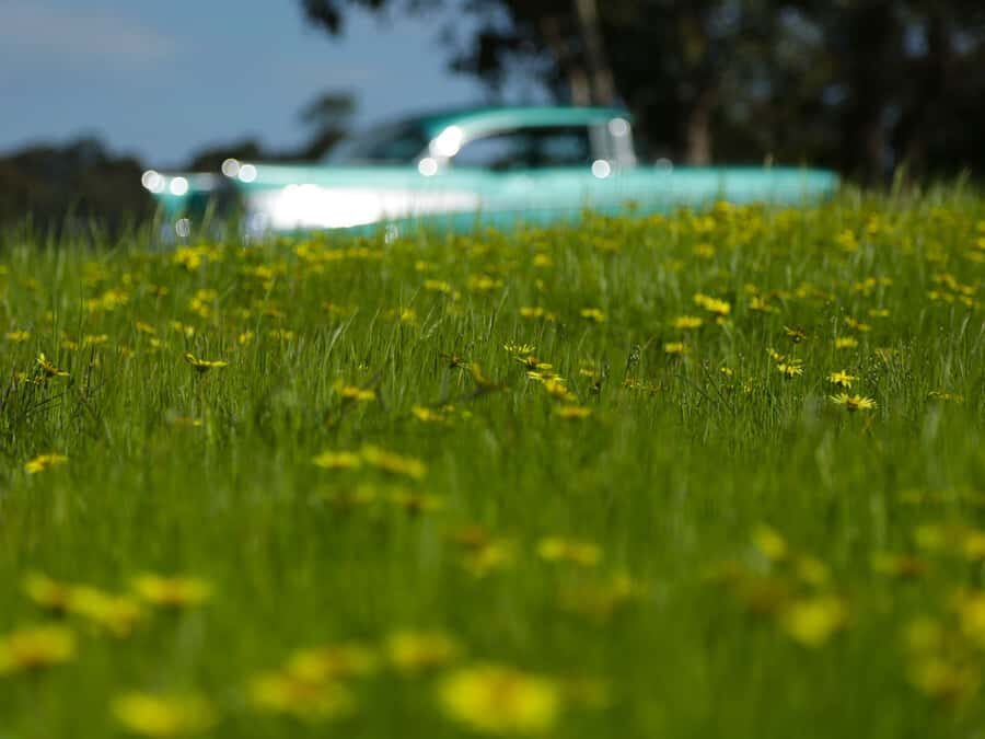 Melbourne: Yarra Valley Food & Wine Tour in a '56 Chevrolet - Healesville lunch: choosing your own comfort