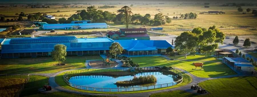Melbourne：Phillip Island Tour 1 Day Tour - What you’ll actually experience in the order of stops