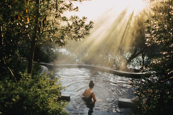 Mornington Peninsula Small Group Thermal Springs w/ Lunch & Wine - Mornington Peninsula in One Day: Arts Centre Pickup to Hot Springs Relax Time