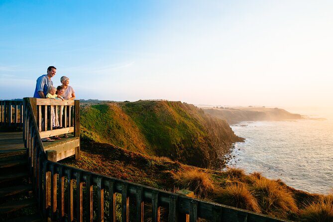 Phillip Island Penguin and Koala Highlights Day-Trip from Melbourne - Key highlights I’d aim for on this trip