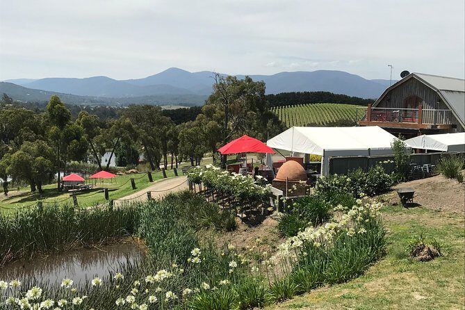 [PRIVATE TOUR] Yarra Valley Winery | Day Tour - Key Points You’ll Care About Before You Go