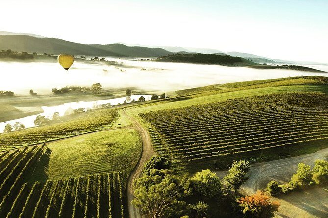 [PRIVATE TOUR] Yarra Valley Winery | Day Tour - What’s Included vs. What You’ll Pay for (So There Are No Surprises)