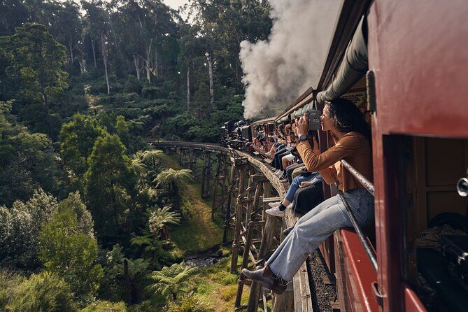 Puffing Billy & Rainforest Tour from Melbourne - Key things I’d plan around