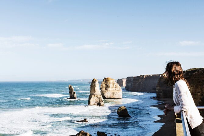 Puffing Billy Steam Train and Penguins Wildlife Tour - Who Should Book This Tour (and Who Might Skip It)
