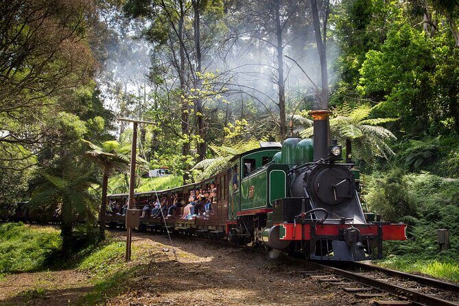 Puffing Billy Steam Train and Penguins Wildlife Tour - The Nobbies and Seal Rocks Boardwalks: Gorgeous Views, But a Stop That Can Get Scrambled