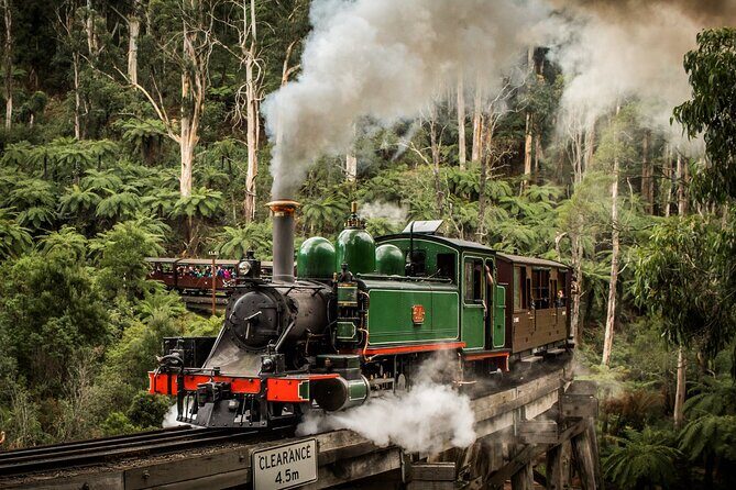 Puffing Billy Train and Phillip Island Penguin Parade Day Tour - Price and What $105.43 Really Covers in This Day