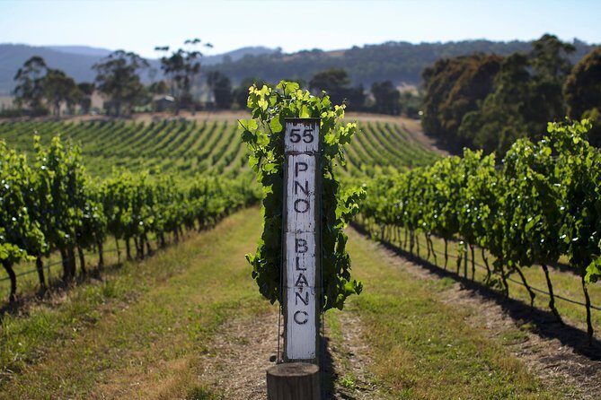 Small Group: Ultimate Yarra Valley Food and Wine - Timing From 10:00 to Finish: How the Day Stays Enjoyable