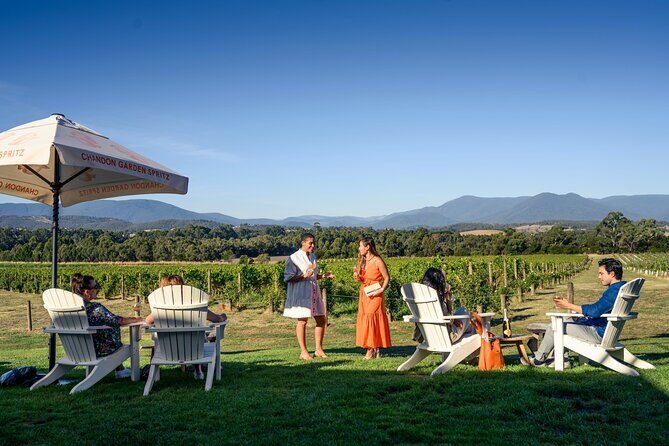 Yarra Valley wine and gin tour with Champagne Lunch at Chandon! - Why this Yarra Valley tour is built for people who hate driving