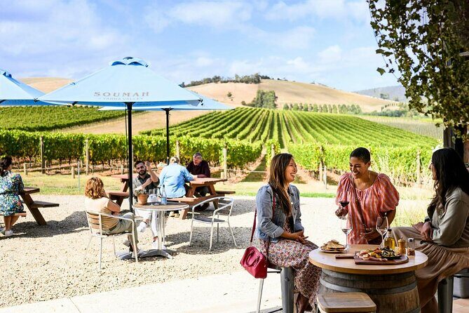 Yarra Valley wine and gin tour with Champagne Lunch at Chandon! - The free Kangaroo Safari stop on the way back